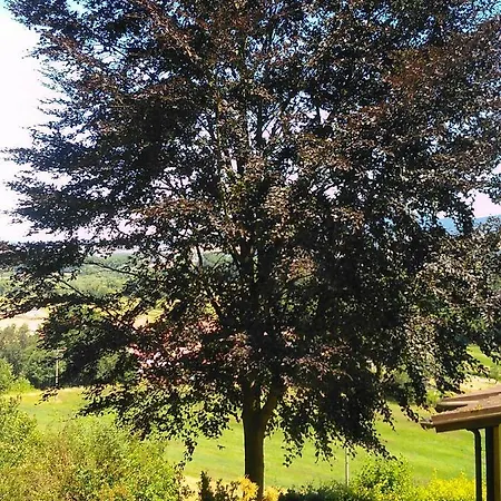 Am Werratal Radwanderweg * Breitungen (Thuringia)