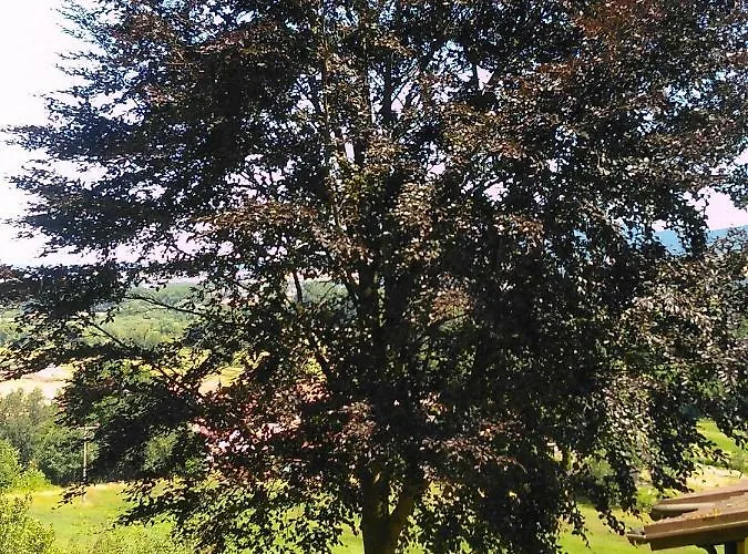 Am Werratal Radwanderweg * Breitungen (Thuringia)